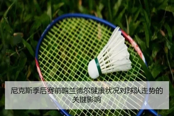 尼克斯季后赛前瞻兰德尔健康状况对球队走势的关键影响
